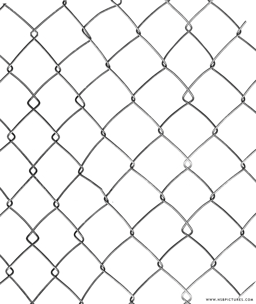 net png download