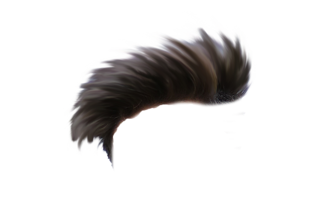 Hair Png By Sr Editing Zone Transparent PNG  1220x821  Free Download on  NicePNG