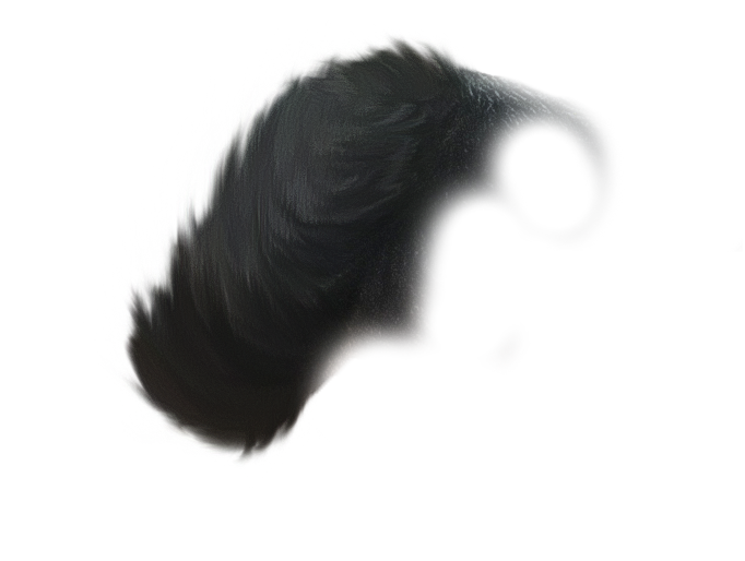 HAIR PNG