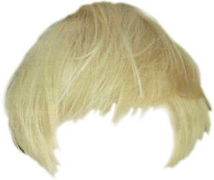 real hair png