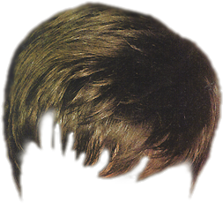 boy hair png