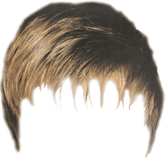 real hair png