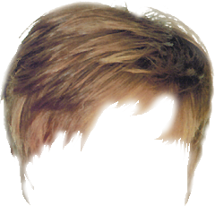 real hair png