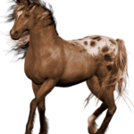 horse png