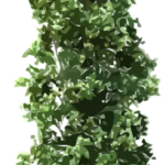 tree png download