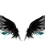 stylish wings png