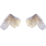 white wing png