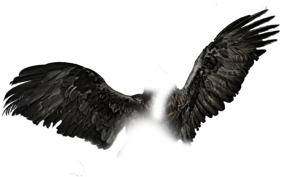 wings png images free download - eagle wings, dragon wings png - NSB