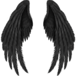 angel wing png