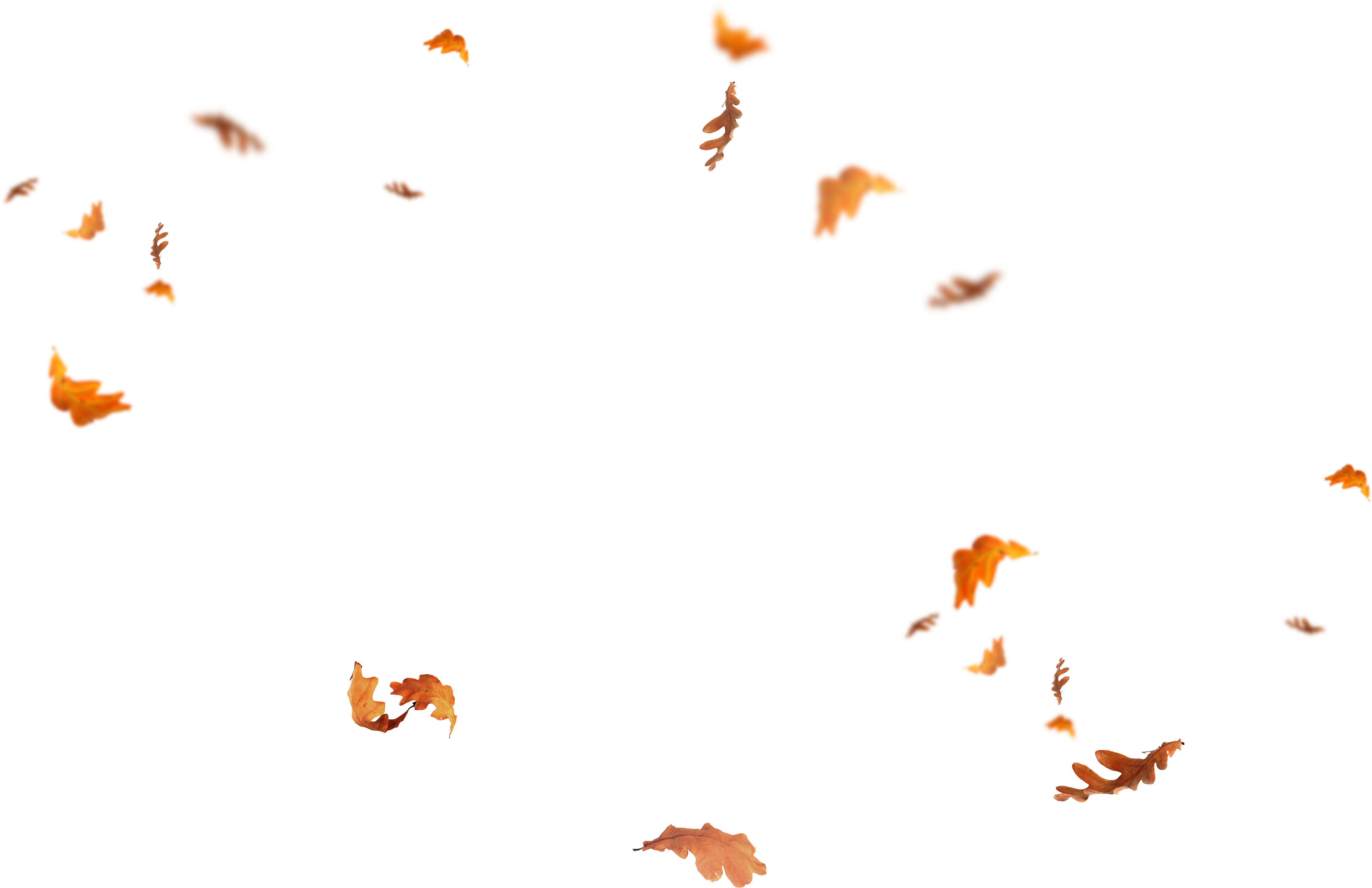 download falling leaves png images - flying autumn leaf ...