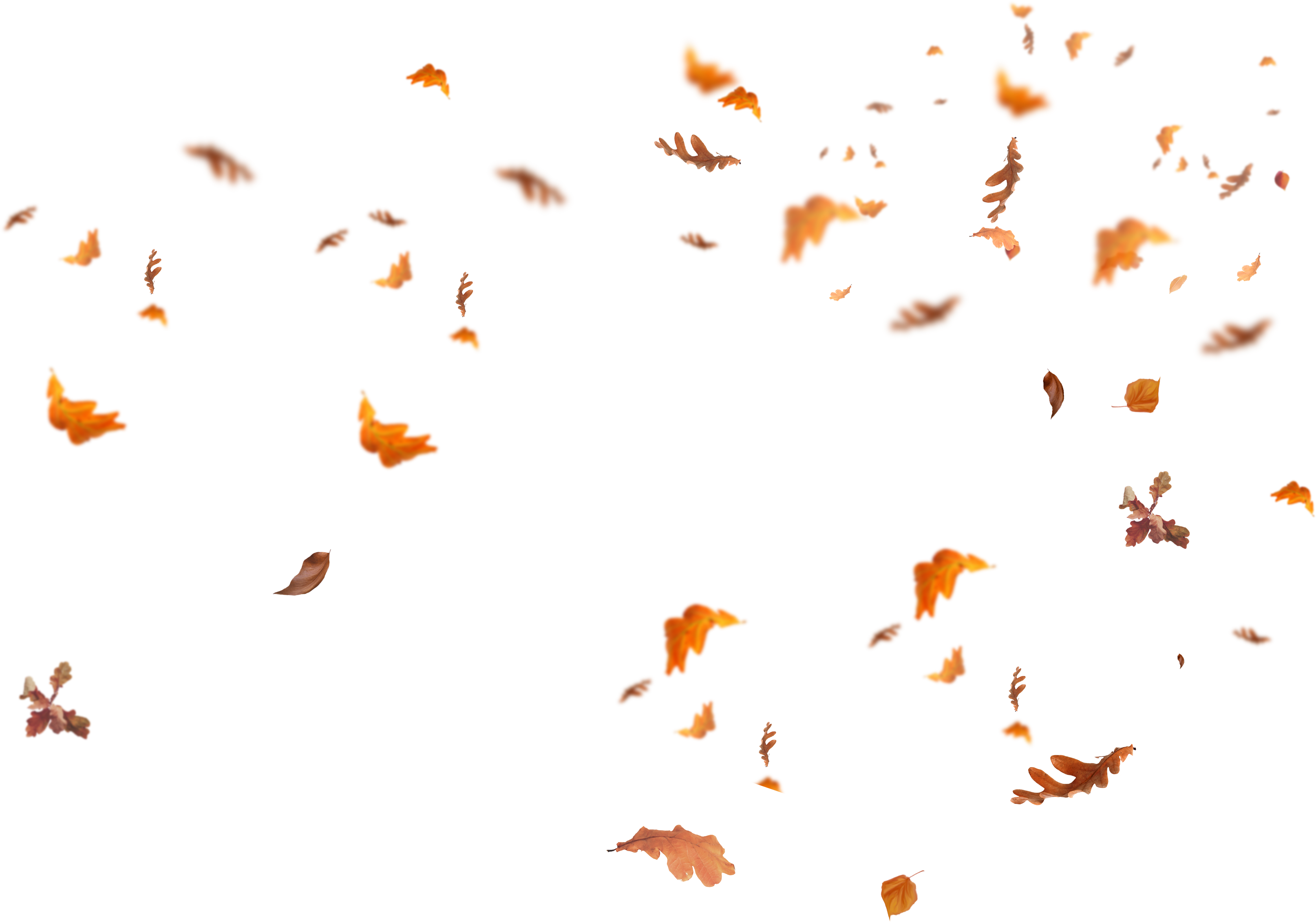 download falling leaves png images - flying autumn leaf png [FREE]