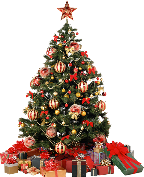 christmas_tree_PNG