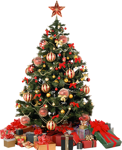 Christmas tree png images Download HD - FREE Download 2019