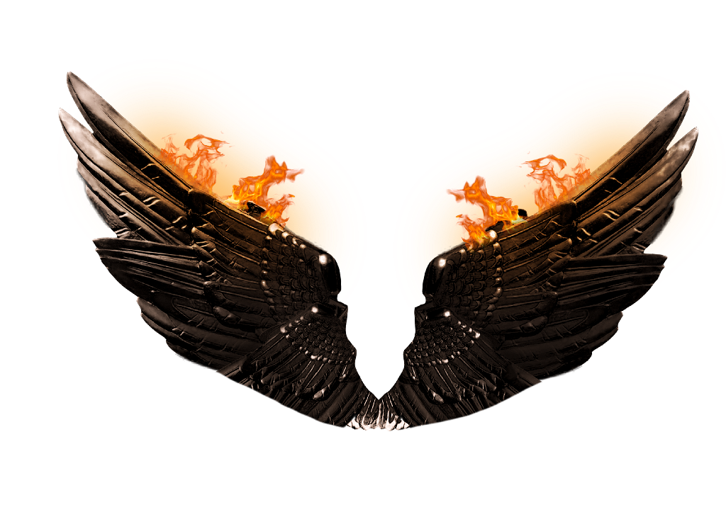 fire wings png