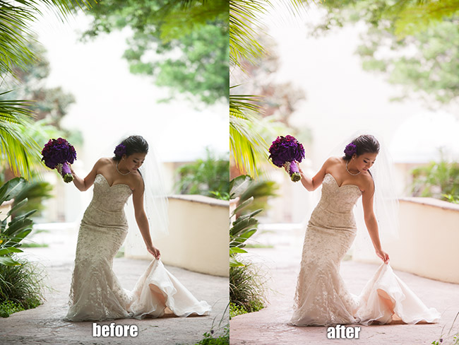 wedding camera raw presets