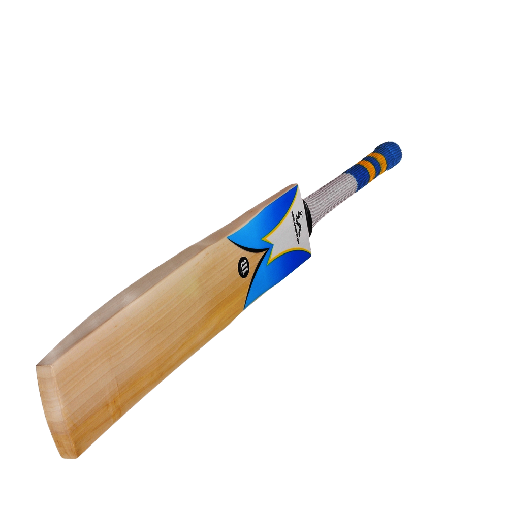 cricket-bat-png