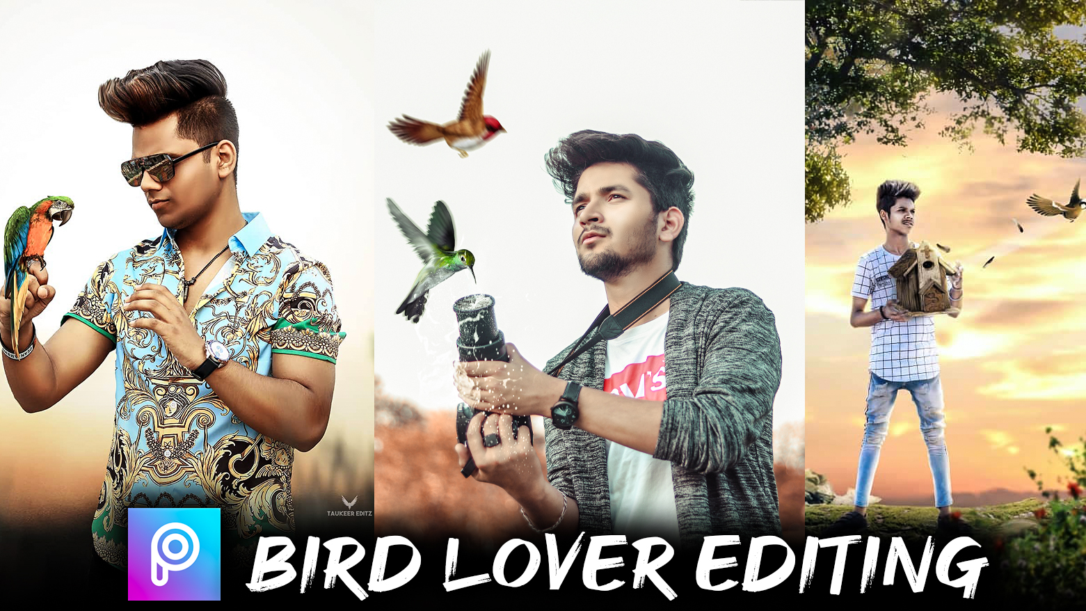 bird lover picsart editing backgrounds and hd png download for free