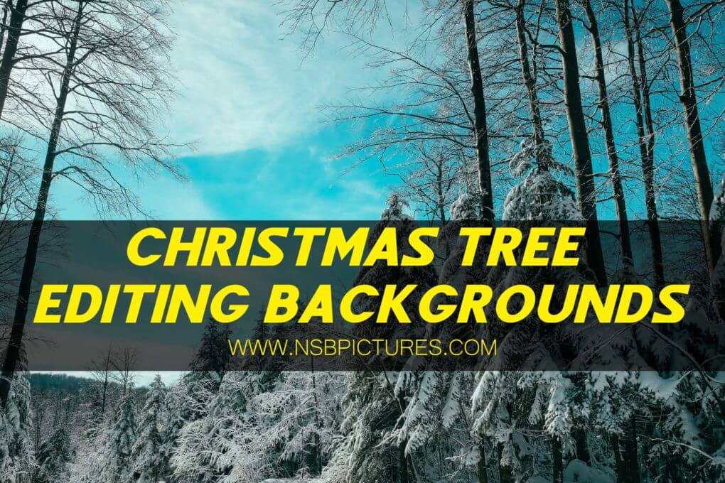 CHRISTMAS SPECIAL EDITING BACKGROUNDSCHRISTMAS SPECIAL EDITING BACKGROUNDS
