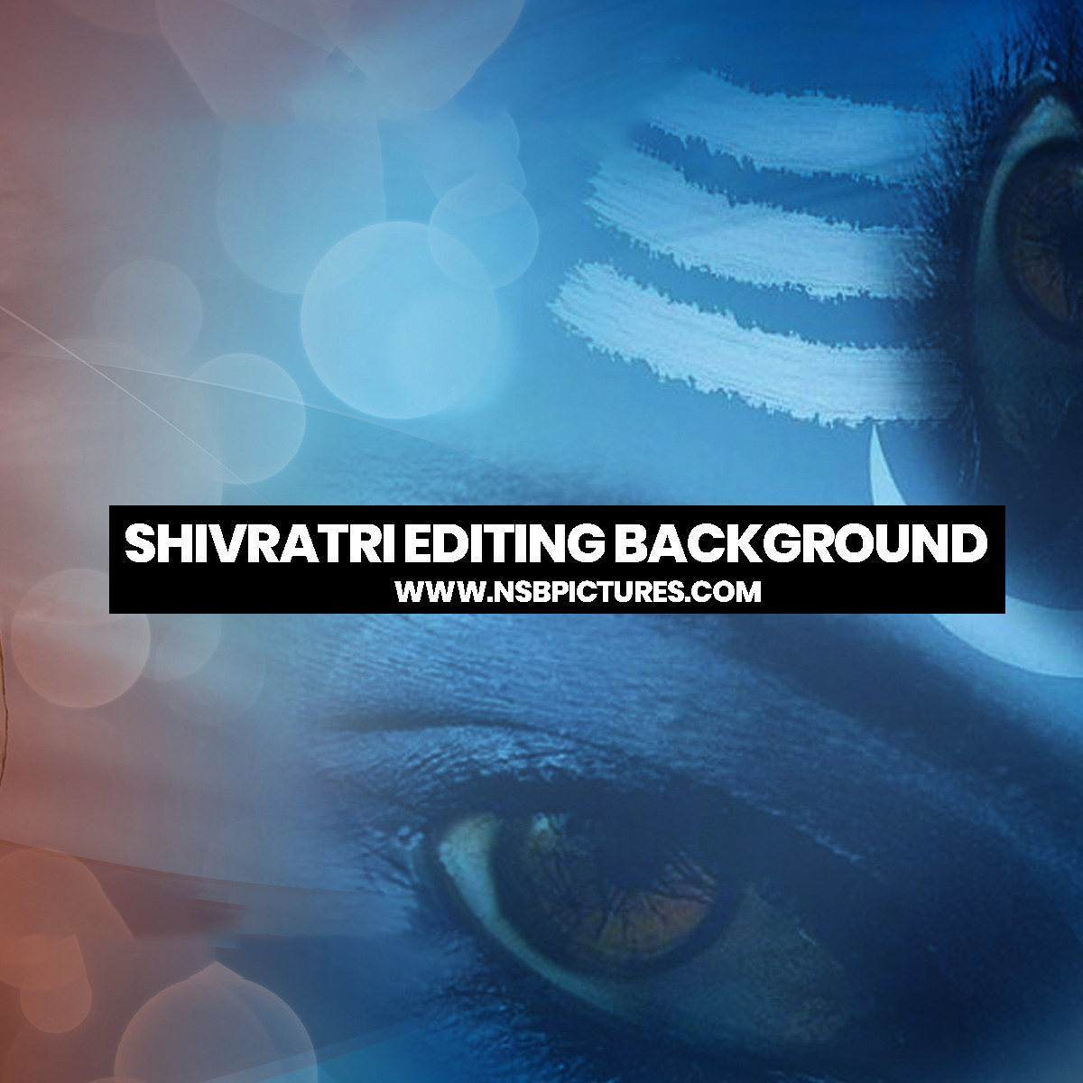 SHIVRATRI BG PACK