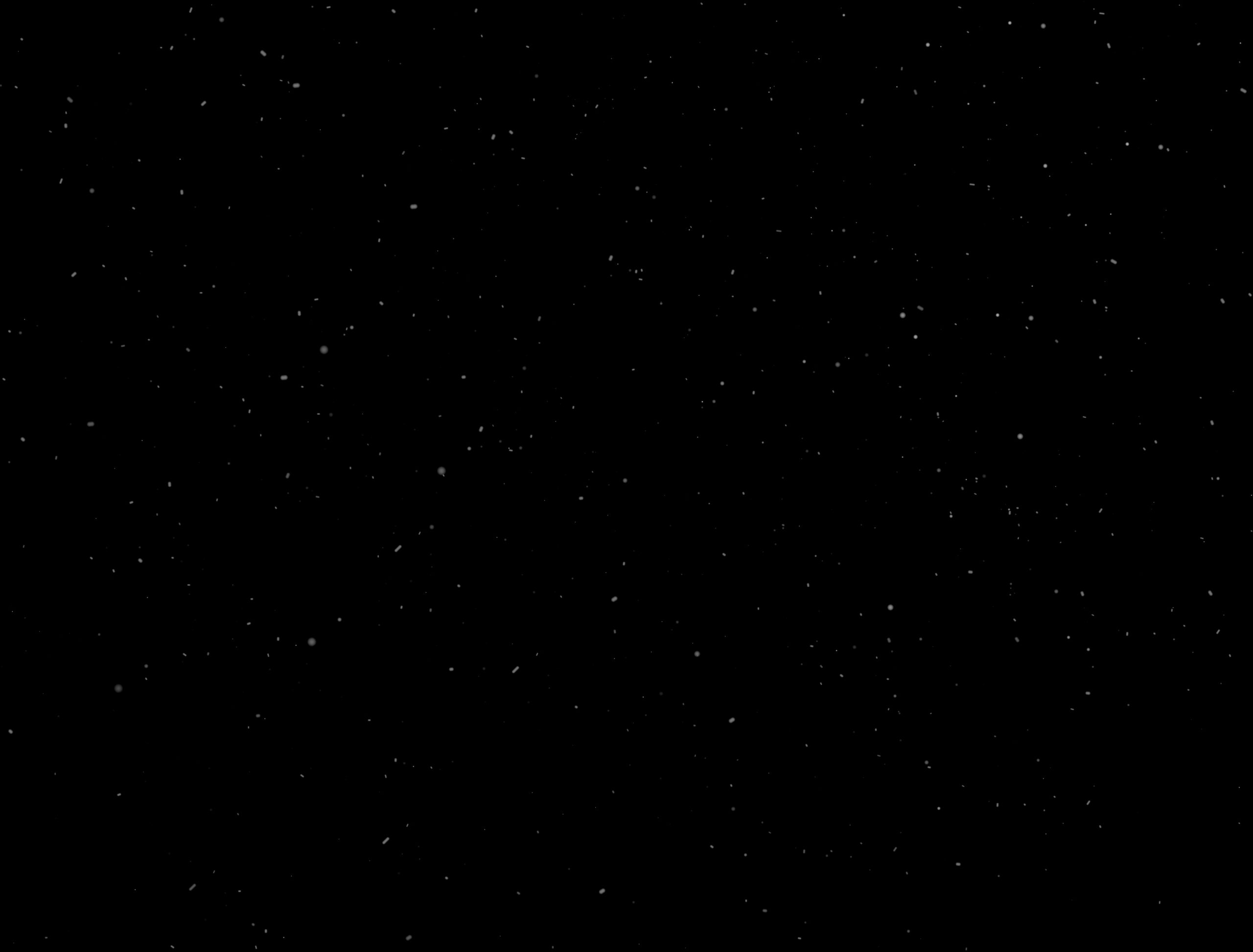 white dust prticles white dust prticles