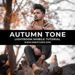 Autumn Tone Preset