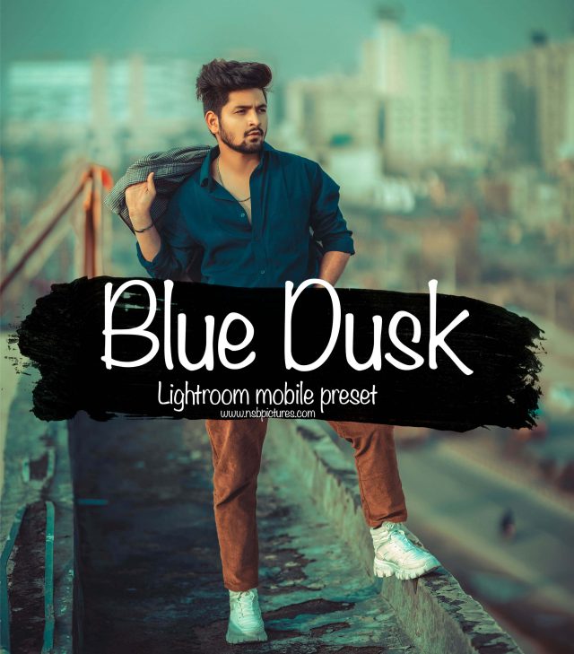 NSB- Blue Dusk Lightroom Preset (1)