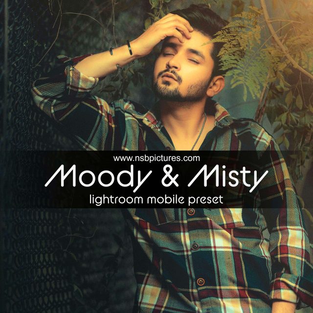 NSB - Moody & Misty LR DNG Preset
